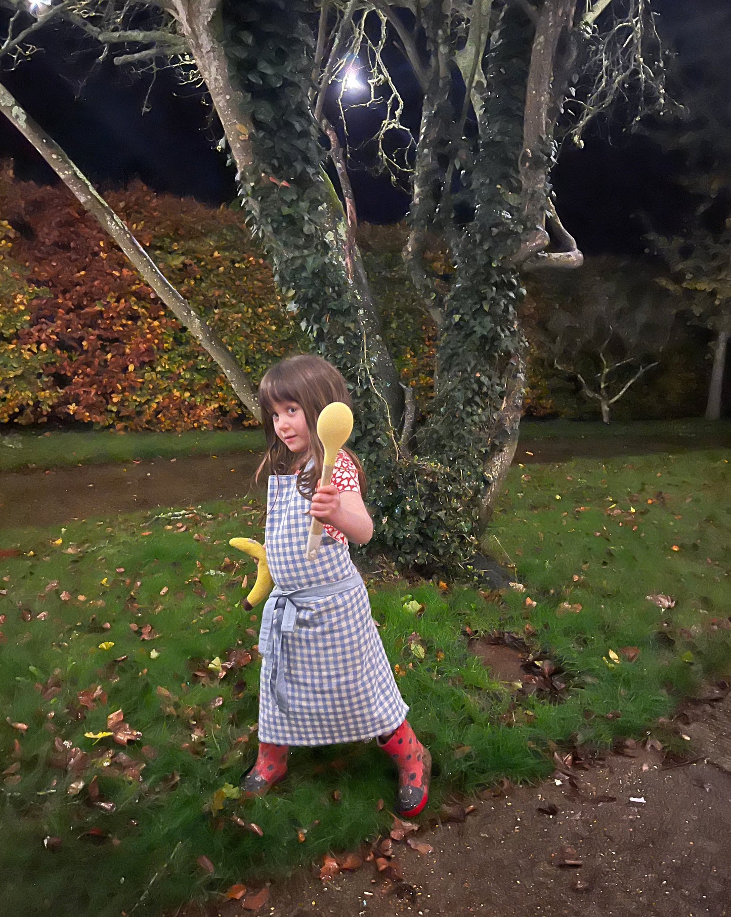 blue gingham child's apron