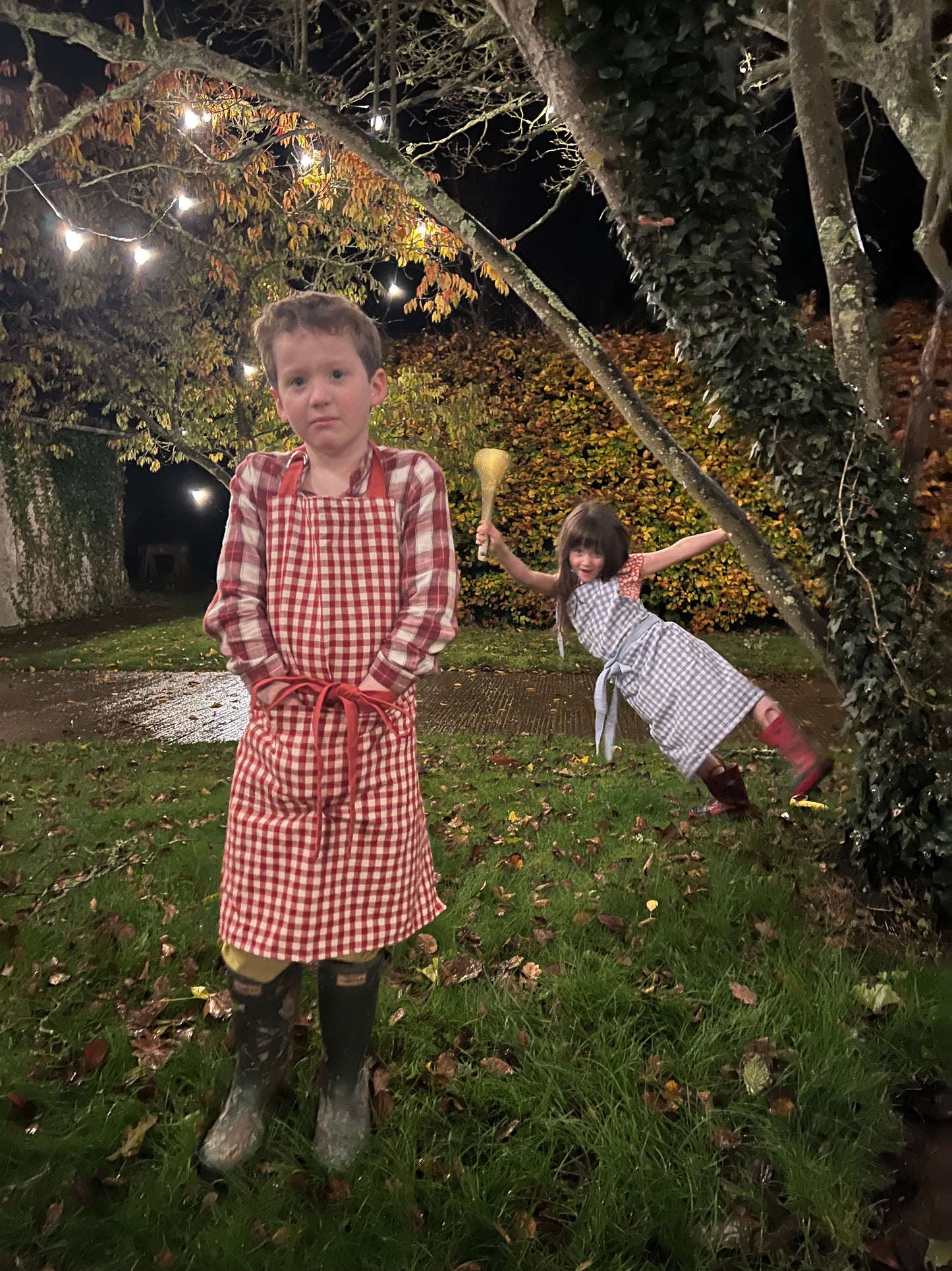kids in gingham aprons