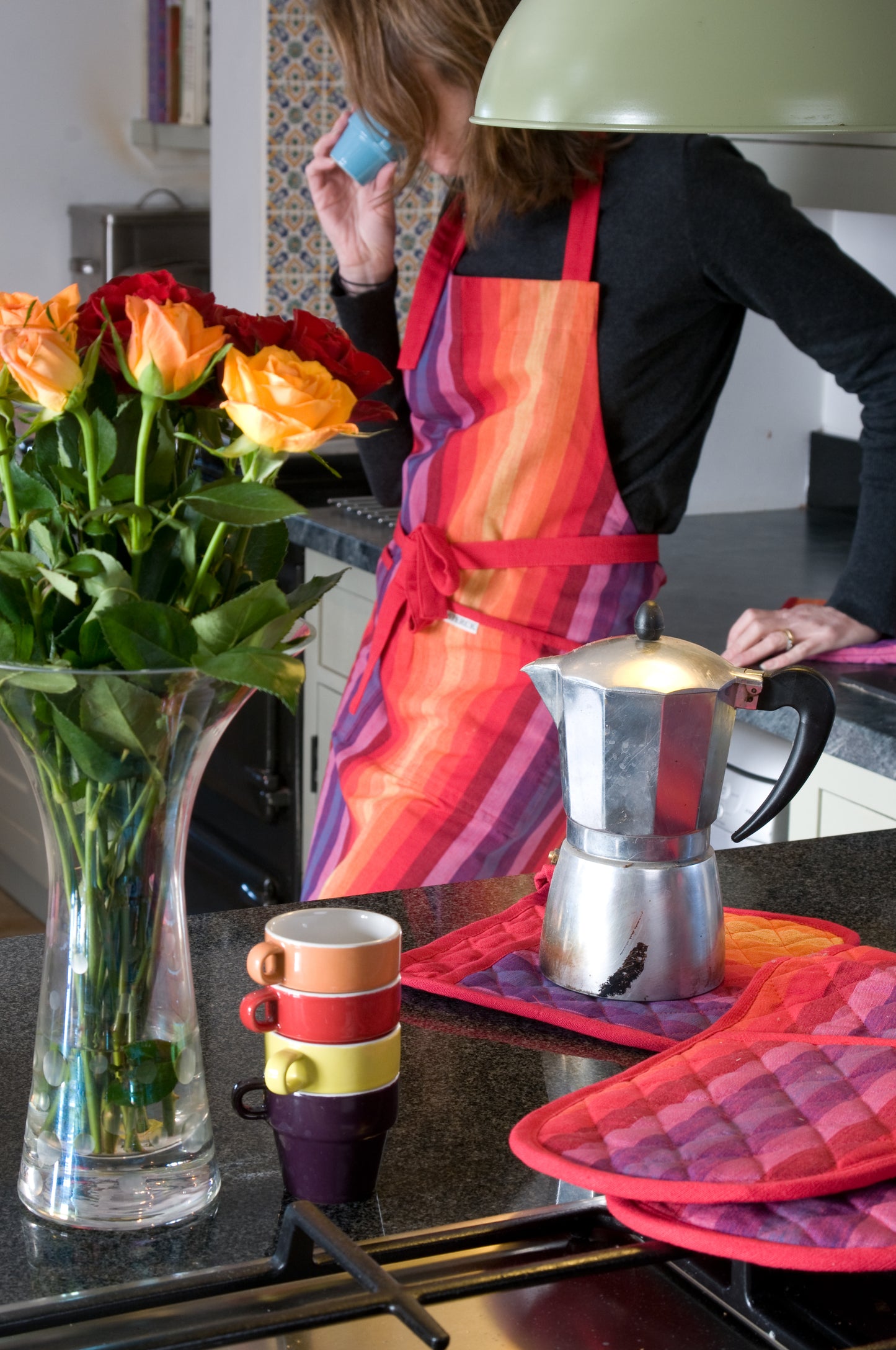 chihuhua rainbow striped cotton collection, branded sterck & co.  vibrant oven gloves and pot holders in a rainbow striped  pure cotton fabric.