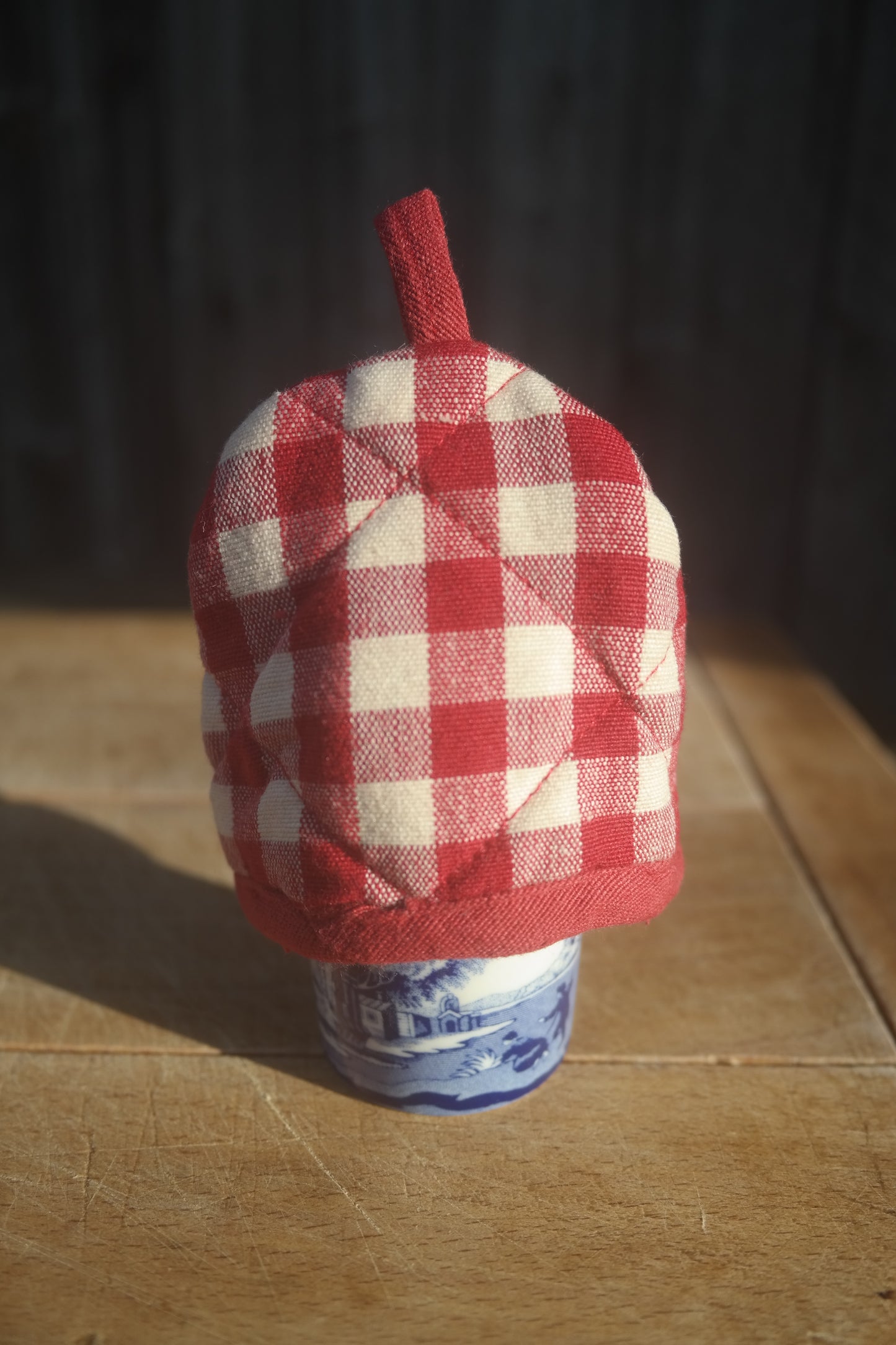 red gingham egg cosie